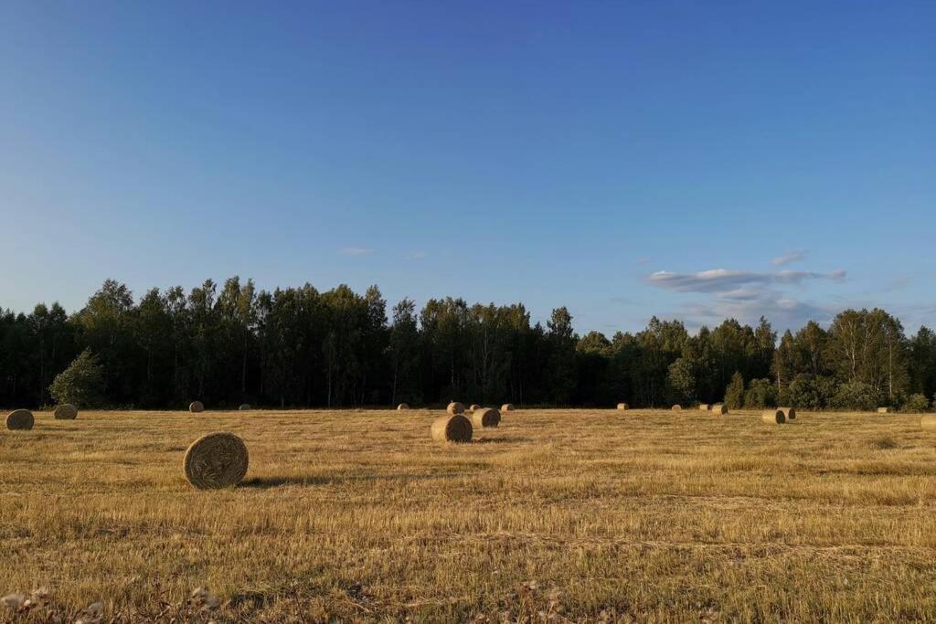 Parila Sauna House Екстериор снимка